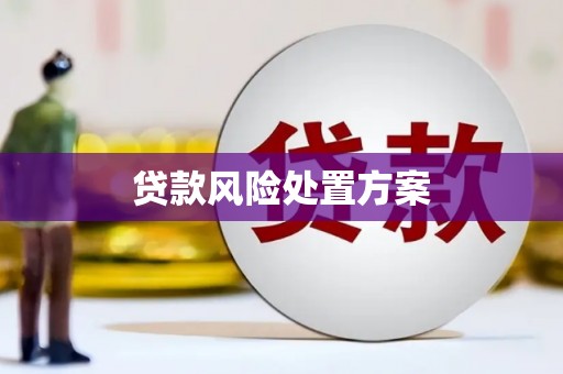 喜德贷款风险处置方案