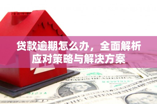 喜德贷款逾期怎么办，全面解析应对策略与解决方案