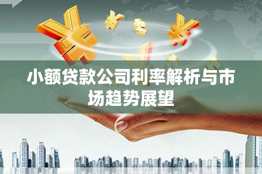 喜德小额贷款公司利率解析与市场趋势展望
