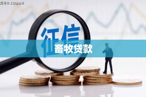 喜德畜牧贷款