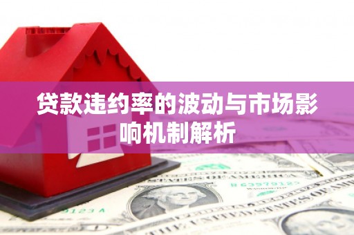 喜德贷款违约率的波动与市场影响机制解析