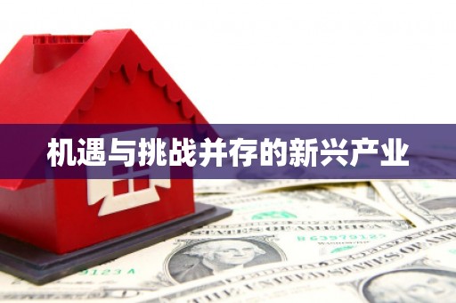 喜德机遇与挑战并存的新兴产业