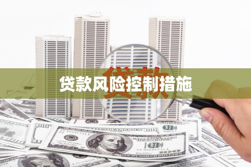 喜德贷款风险控制措施