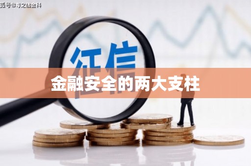 喜德金融安全的两大支柱
