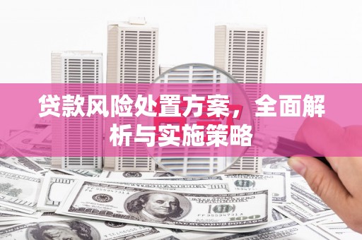 喜德贷款风险处置方案，全面解析与实施策略