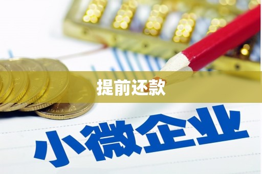 喜德提前还款