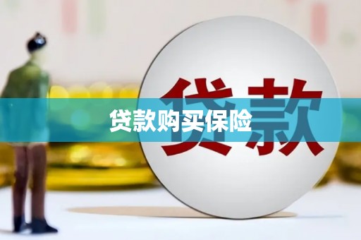 喜德贷款购买保险