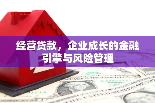喜德经营贷款，企业成长的金融引擎与风险管理