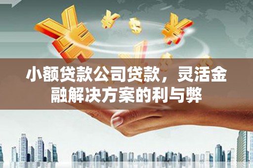 喜德小额贷款公司贷款，灵活金融解决方案的利与弊